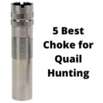 Best Choke for Quail Hunting