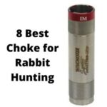Best Choke for Rabbit Hunting